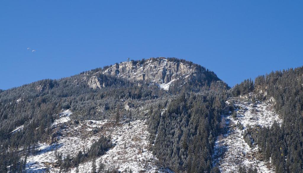 Alpenchalet Bruecke Майрхофен Номер фото